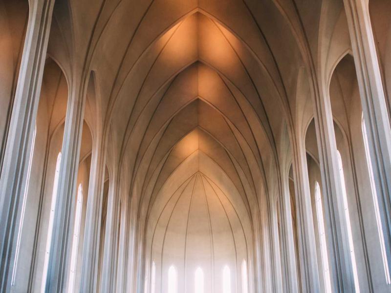宠物侦探<br>ly9ugd.cn 寻找走失猫咪